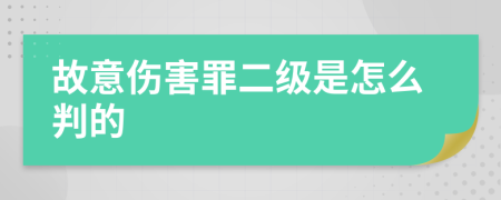 故意伤害罪二级是怎么判的