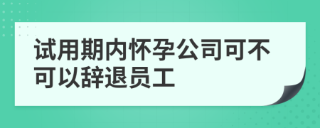 试用期内怀孕公司可不可以辞退员工