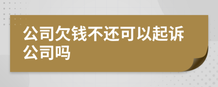 公司欠钱不还可以起诉公司吗