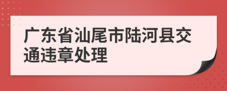 广东省汕尾市陆河县交通违章处理