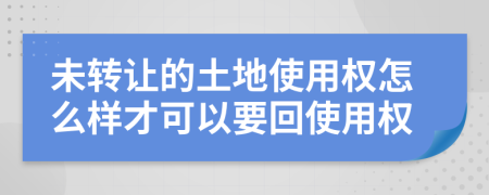 未转让的土地使用权怎么样才可以要回使用权