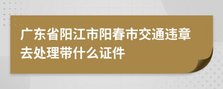 广东省阳江市阳春市交通违章去处理带什么证件
