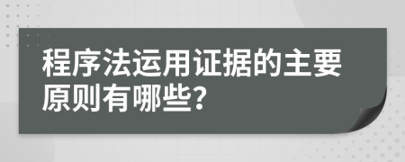 程序法运用证据的主要原则有哪些？