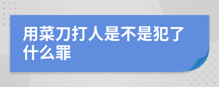 用菜刀打人是不是犯了什么罪