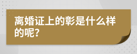 离婚证上的彰是什么样的呢？