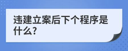 违建立案后下个程序是什么?