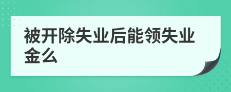 被开除失业后能领失业金么