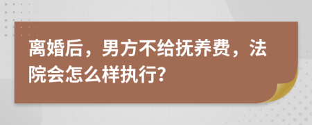 离婚后，男方不给抚养费，法院会怎么样执行？