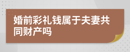 婚前彩礼钱属于夫妻共同财产吗