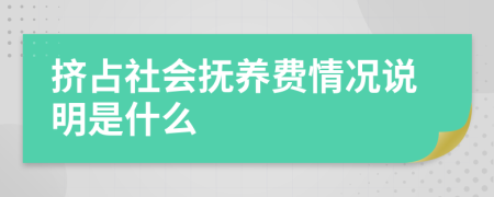 挤占社会抚养费情况说明是什么