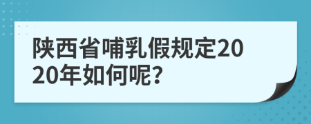 陕西省哺乳假规定2020年如何呢？