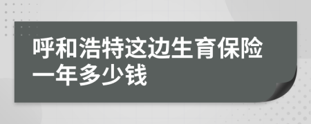 呼和浩特这边生育保险一年多少钱