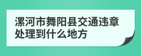 漯河市舞阳县交通违章处理到什么地方