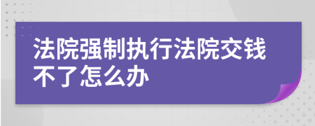 法院强制执行法院交钱不了怎么办