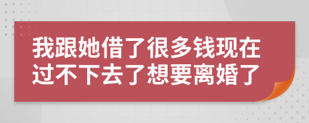 我跟她借了很多钱现在过不下去了想要离婚了