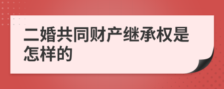 二婚共同财产继承权是怎样的