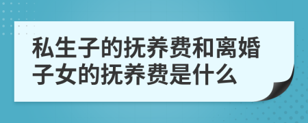 私生子的抚养费和离婚子女的抚养费是什么