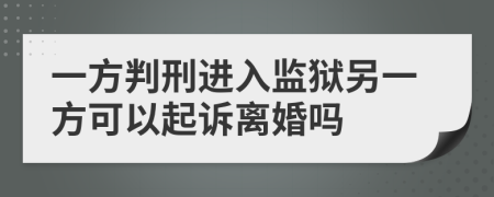 一方判刑进入监狱另一方可以起诉离婚吗