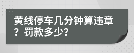 黄线停车几分钟算违章？罚款多少？