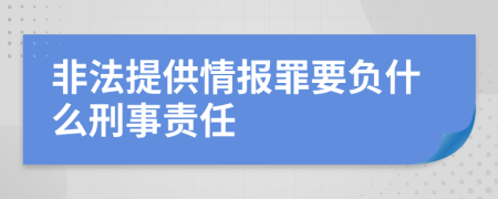 非法提供情报罪要负什么刑事责任