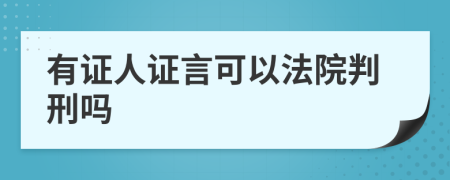 有证人证言可以法院判刑吗