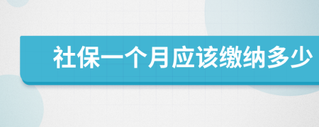 社保一个月应该缴纳多少