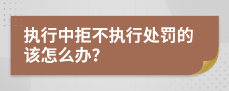 执行中拒不执行处罚的该怎么办？