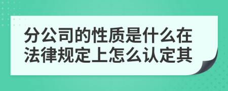 分公司的性质是什么在法律规定上怎么认定其