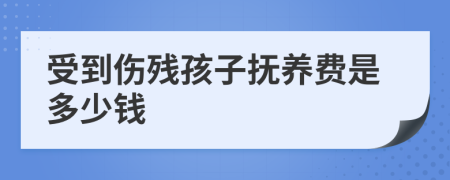 受到伤残孩子抚养费是多少钱