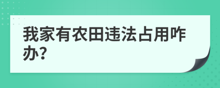 我家有农田违法占用咋办？