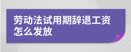 劳动法试用期辞退工资怎么发放