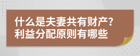 什么是夫妻共有财产？利益分配原则有哪些