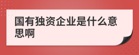 国有独资企业是什么意思啊