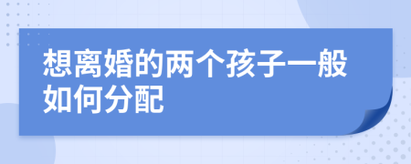 想离婚的两个孩子一般如何分配