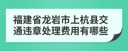 福建省龙岩市上杭县交通违章处理费用有哪些