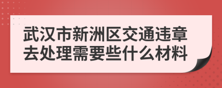 武汉市新洲区交通违章去处理需要些什么材料