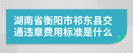 湖南省衡阳市祁东县交通违章费用标准是什么