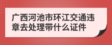 广西河池市环江交通违章去处理带什么证件