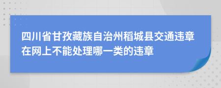 四川省甘孜藏族自治州稻城县交通违章在网上不能处理哪一类的违章