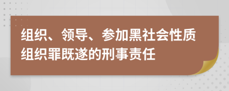 组织、领导、参加黑社会性质组织罪既遂的刑事责任