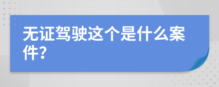 无证驾驶这个是什么案件？