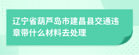 辽宁省葫芦岛市建昌县交通违章带什么材料去处理