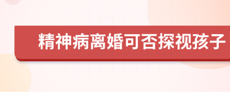 精神病离婚可否探视孩子