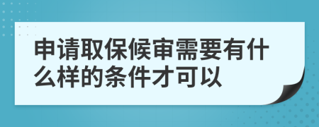 申请取保候审需要有什么样的条件才可以