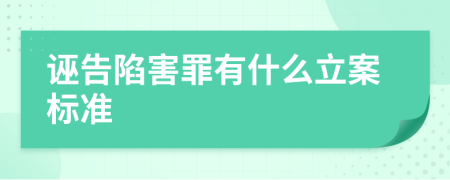 诬告陷害罪有什么立案标准