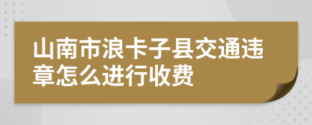 山南市浪卡子县交通违章怎么进行收费