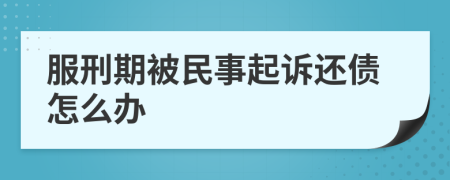 服刑期被民事起诉还债怎么办