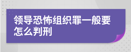 领导恐怖组织罪一般要怎么判刑