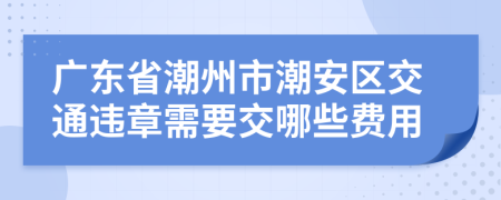 广东省潮州市潮安区交通违章需要交哪些费用