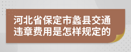 河北省保定市蠡县交通违章费用是怎样规定的